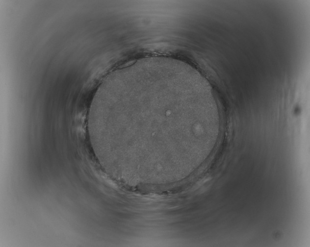 X0000111801010200909031224
