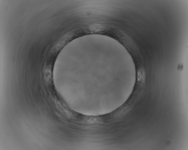 X0000111801011200909031224