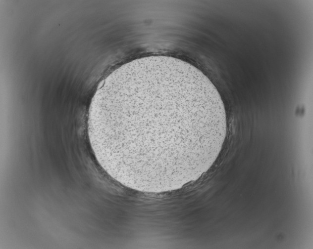 X0000111801012200909031224