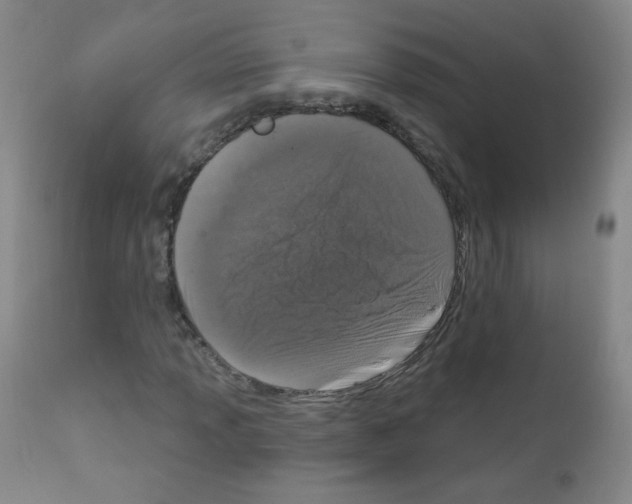 X0000111801013200909031224