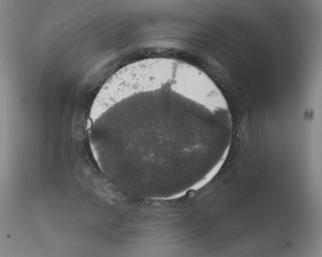 X0000111801014200909031224