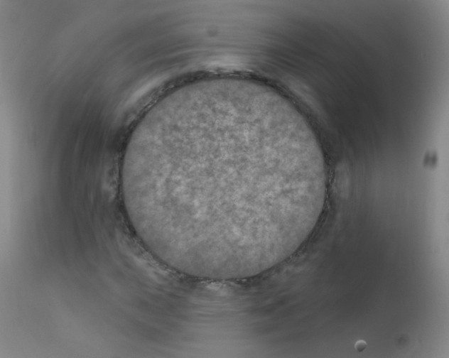 X0000111801015200909031224