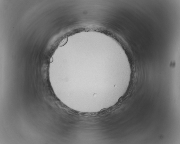 X0000111801016200909031224