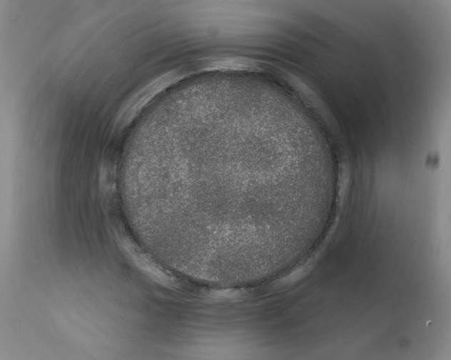X0000111801017200909031224