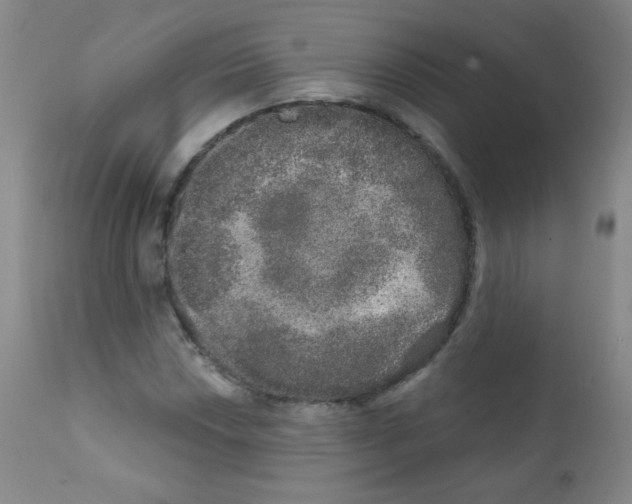 X0000111801018200909031224