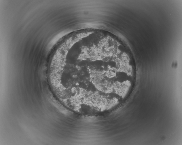 X0000111801019200909031224