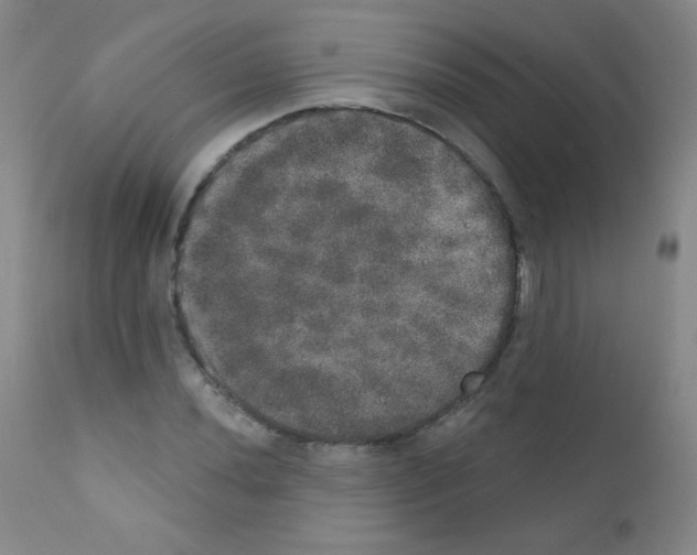 X0000111801020200909031224