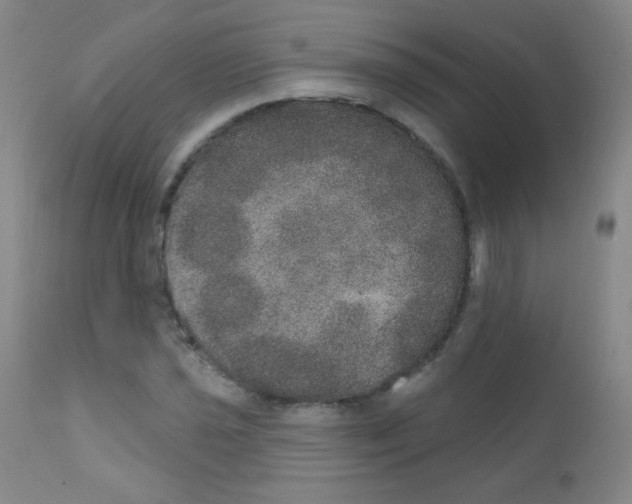 X0000111801021200909031224