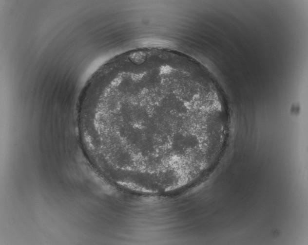 X0000111801022200909031224