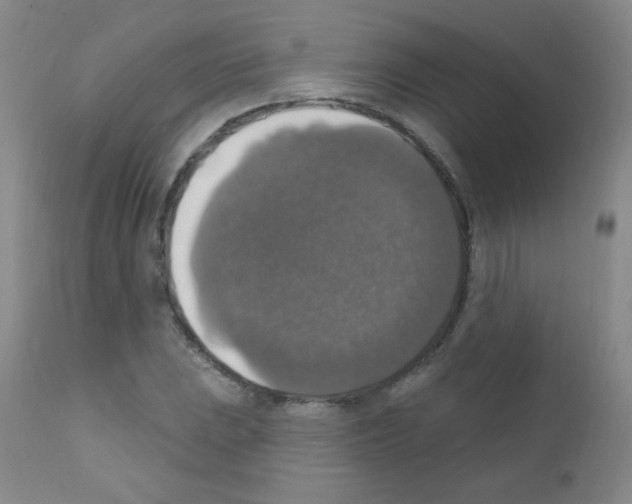 X0000111801023200909031224