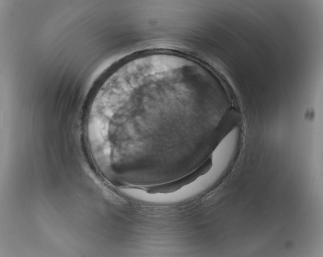 X0000111801024200909031224