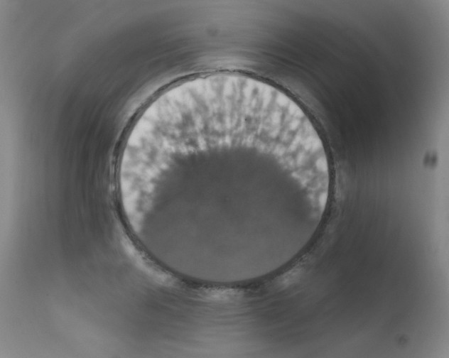 X0000111801031200909031224