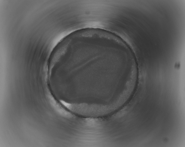 X0000111801032200909031224
