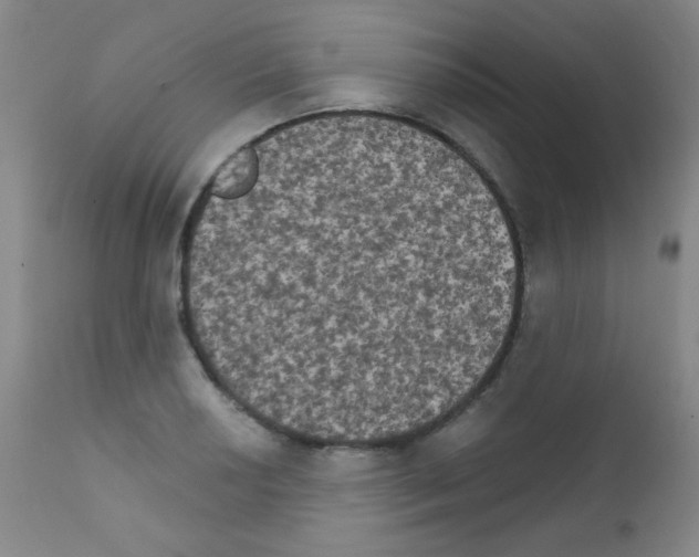 X0000111801034200909031224