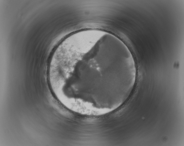 X0000111801035200909031224
