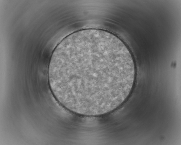 X0000111801041200909031224