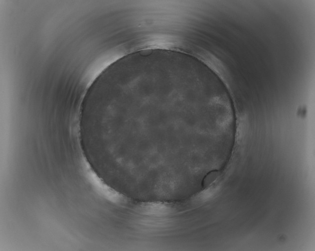 X0000111801042200909031224