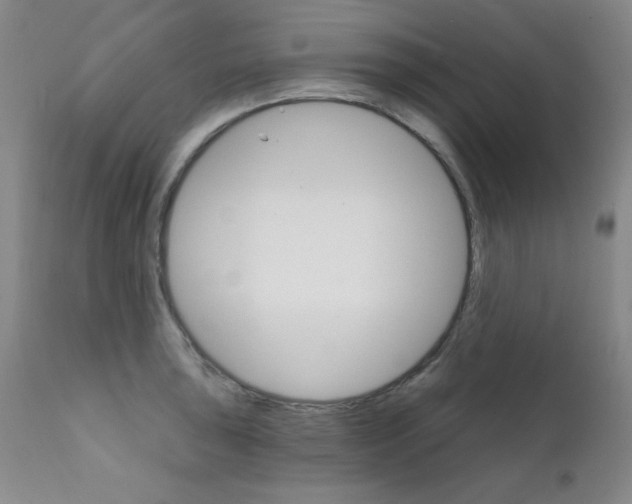 X0000111801043200909031224