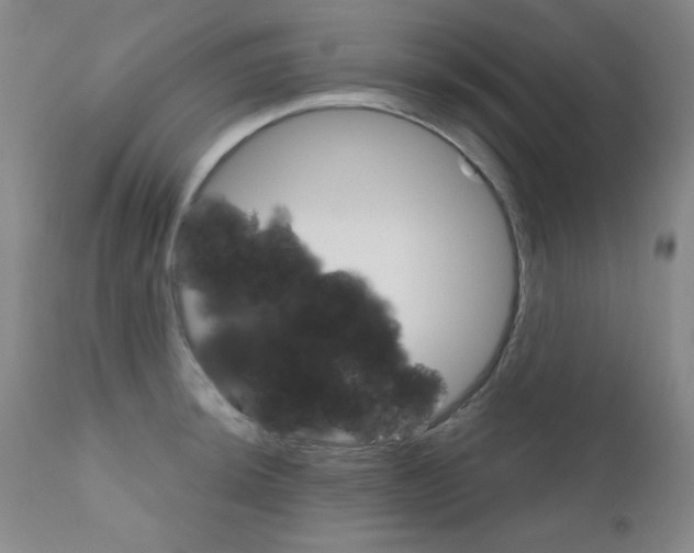 X0000111801044200909031224
