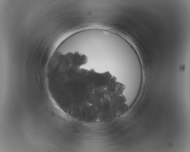 X0000111801048200909031225