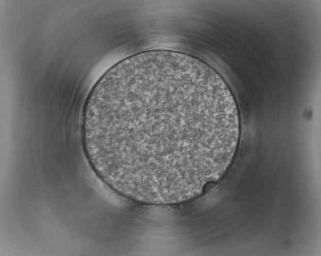 X0000111801050200909031225