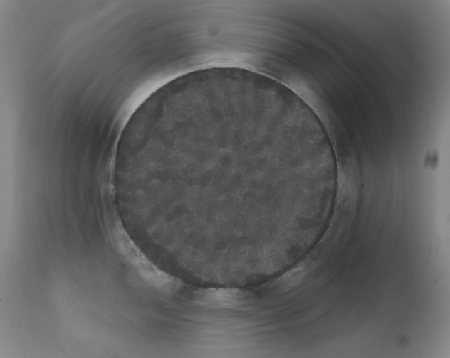 X0000111801052200909031225
