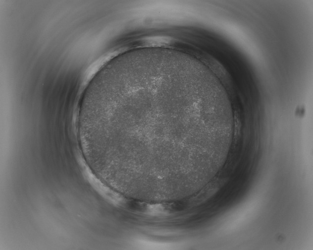 X0000111801054200909031225