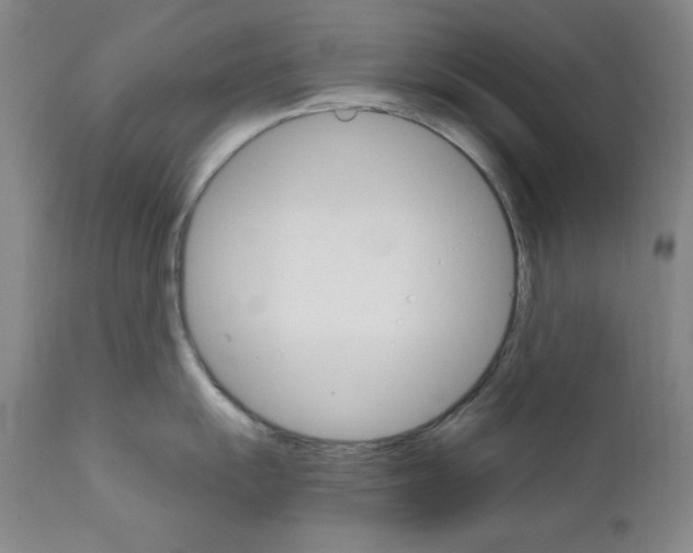 X0000111801055200909031225