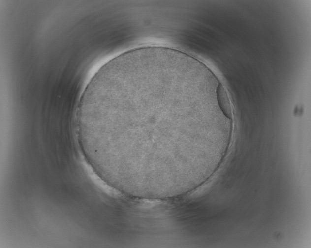 X0000111801056200909031225