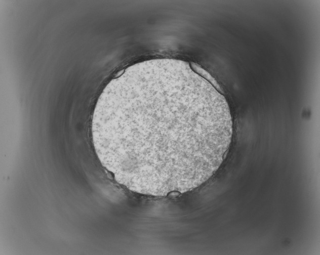 X0000111801057200909031224