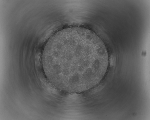 X0000111801059200909031224
