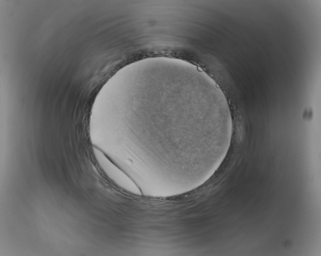X0000111801060200909031224