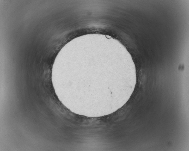 X0000111801061200909031224
