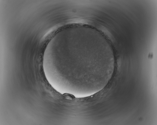 X0000111801064200909031224
