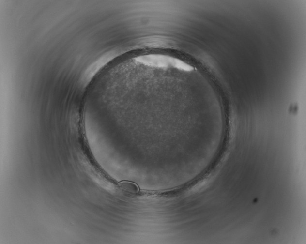 X0000111801065200909031224