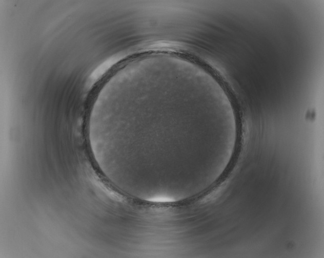 X0000111801066200909031224