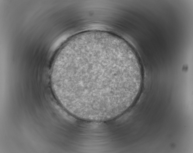 X0000111801067200909031224