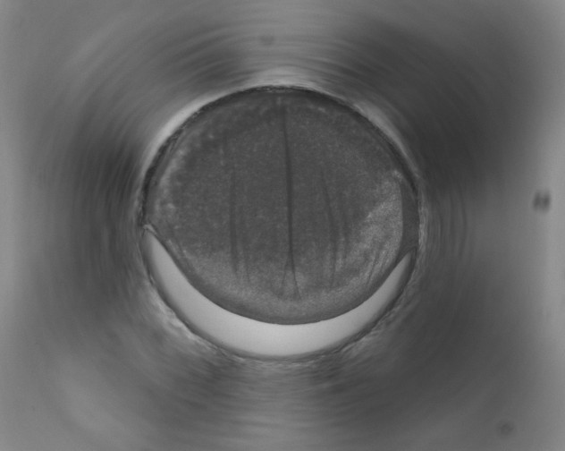 X0000111801068200909031224