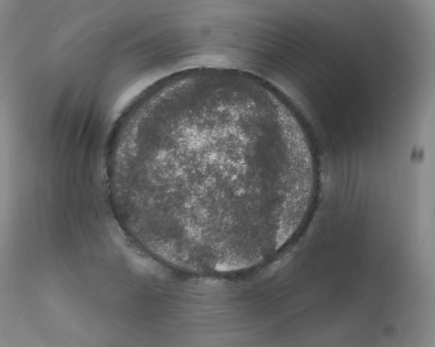 X0000111801070200909031224