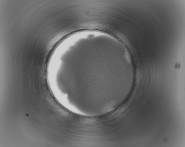 X0000111801071200909031224
