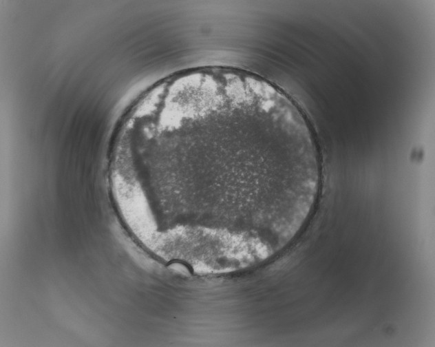 X0000111801072200909031224