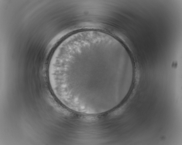X0000111801074200909031224