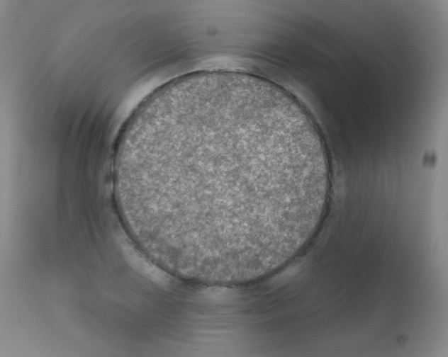 X0000111801075200909031224