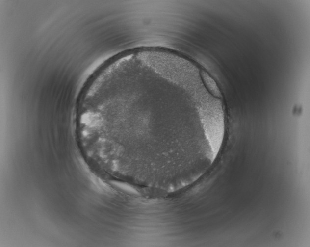 X0000111801076200909031224
