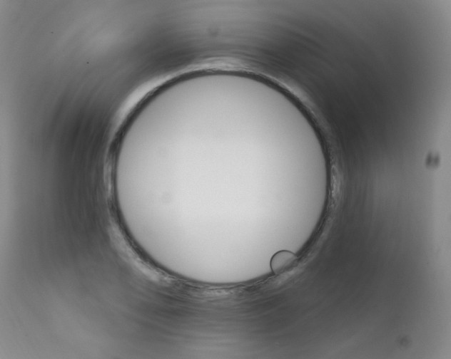 X0000111801078200909031224