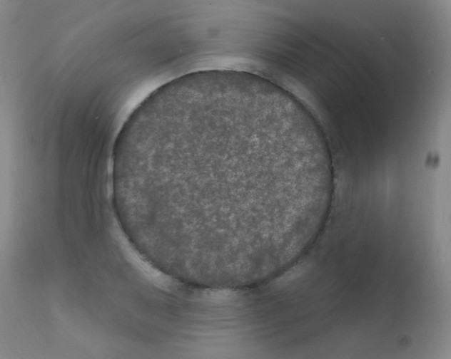 X0000111801079200909031224