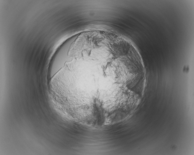 X0000111801083200909031224