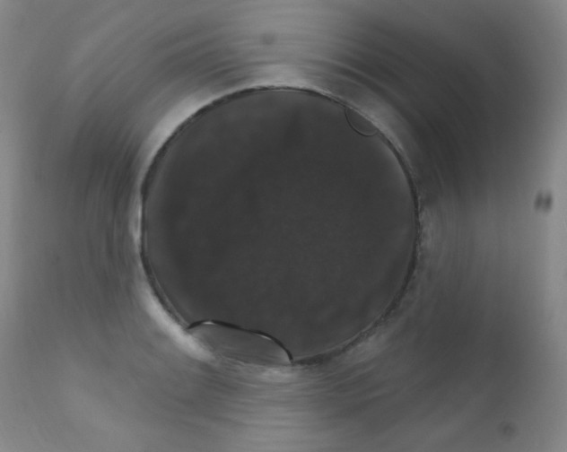X0000111801084200909031224