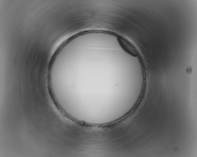 X0000111801085200909031224