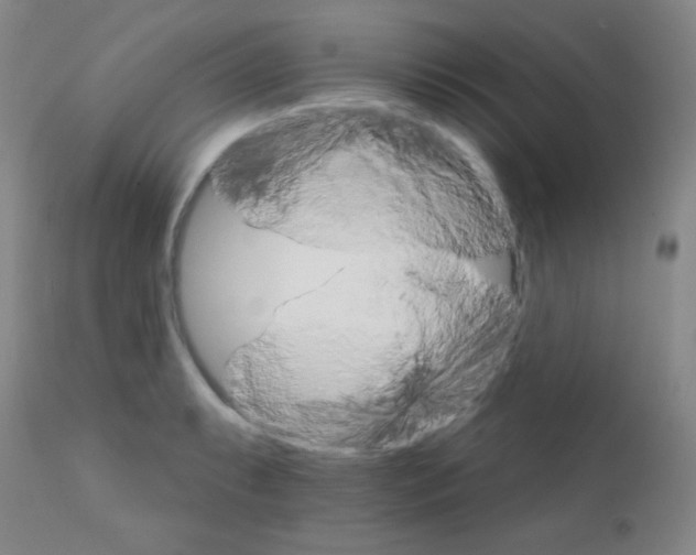 X0000111801087200909031224